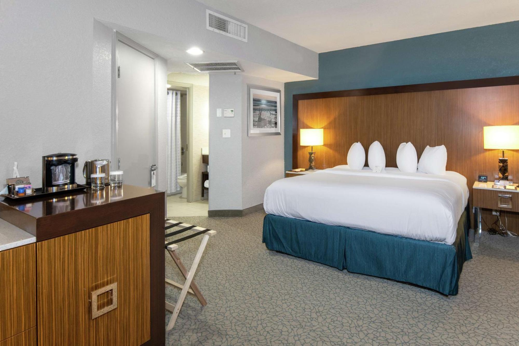 Suite Estudio con cama extragrande